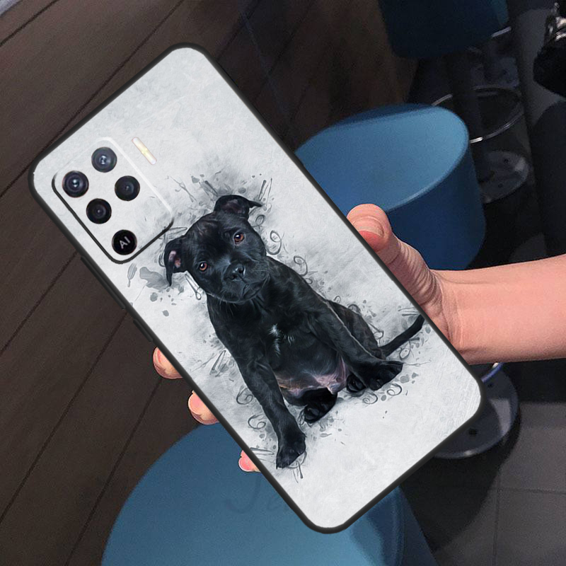 Staffordshire Bull Terrier Dog - Oppo A78 ulasan dan harga